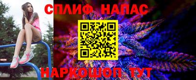 скорость Шелехов