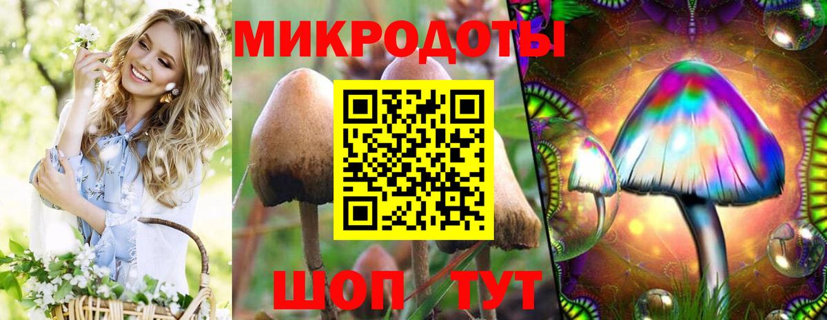 Псилоцибиновые грибы Psilocybe  Вход с VPN  как найти закладки  Домодедово  Псилоцибиновые грибы Cubensis 